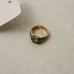 919 9583 RING